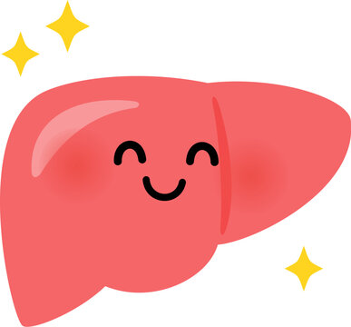 健康な肝臓のキャラクター