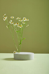 A podium or pedestal decorated with Feverfew flowers (Tanacetum parthenium) on light background. Blank space for cosmetic product display