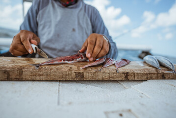 fisherman's hand cuts open a fish with a knife for fishing bait