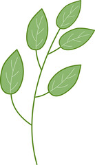Spring Leaf Flat Icon PNG