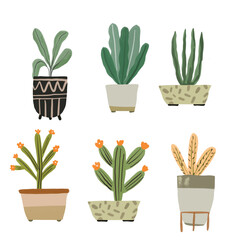 Cacti and House Plant Element Illustration