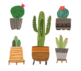 Cacti and House Plant Element Illustration