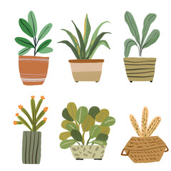 Fototapeta na wymiar Cacti and House Plant Element Illustration