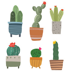 Cacti and House Plant Element Illustration