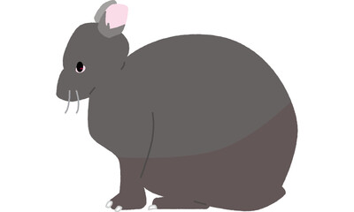 世界自然遺産の島のアマミノクロウサギ横向き　ソフト調