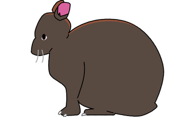 世界自然遺産の島のアマミノクロウサギ横向き　ポップ調