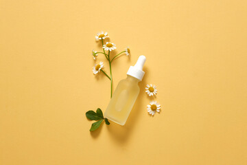 Flat lay of a glass cosmetic bottle with dropper of Feverfew flowers (Tanacetum parthenium) extract on minimalist pastel background