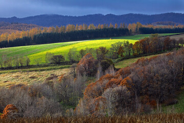 Obraz premium 美瑛町