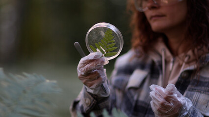 Female scientist biologist researcher testing seedling plant test tube lab. Biological agriculture...