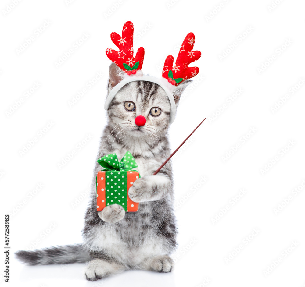 Poster funny kitten dressed like santa claus reindeer rudolf holds gift box and points away on empty space.