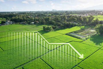 Land, landscape or green field in aerial view. Include bar chart or graph, drop down arrow. Real estate or property with concept for sale price, land value to decrease, reduction or negative trend.