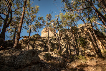 Hiking in the mountains