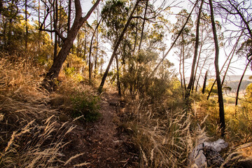 Hiking in the mountains