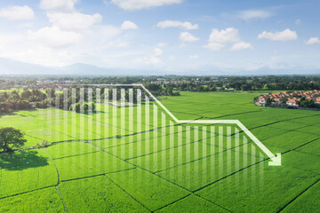 Land, landscape or green field in aerial view. Include bar chart or graph, drop down arrow. Real...