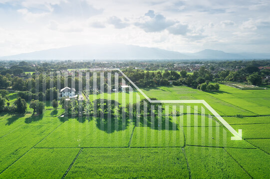 Land, landscape or green field in aerial view. Include bar chart or graph, drop down arrow. Real estate or property with concept for sale price, land value to decrease, reduction or negative trend.