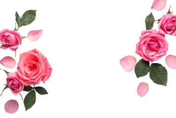 Arrangement of beautiful roses. Floral flowers frame cut out on transparent background. Mothers day, Valentines Day, Birthday Greeting card