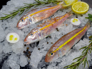 Red mullet is a sweet fish species and has high culinary value.