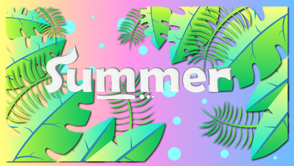 summer time color background