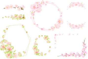 水彩調の八重桜のフレームセット © Naomint
