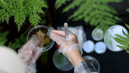 In a forest area, an ecologist takes plant samples and puts them in a container for research in a...
