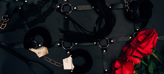 Set of adult toys on a dark background with red roses. Horizontal wide photo subtitle, cover....