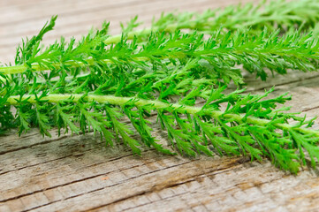 plucked green grass weed lies on wooden cracked boards