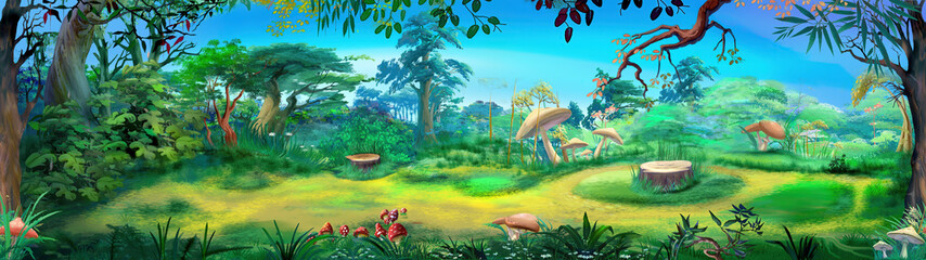 Forest glade on a summer day illustration © multipedia