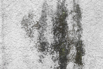 White concrete wall with black stains background texture
