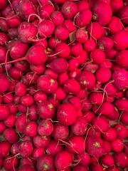 lots of red radish delicious food vitamins healthy nutrition as background