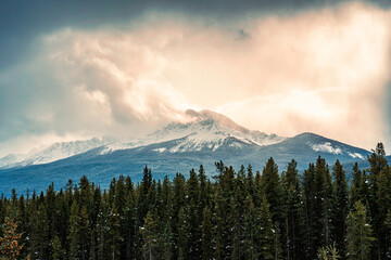 Obraz premium Rocky Mountains with sunlight shining in pine forest at countryside