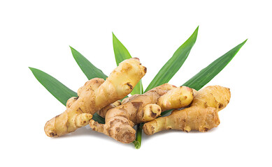 fresh ginger roots and leaves isolated on white background