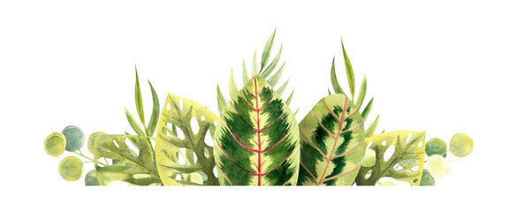 Floral border element with colorful houseplant leaves. Plant and leaves hand drawn in watercolors. Border isolated of background. Template for decor and design postcard, greeting, invitation