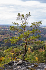 Elbsandsteingebirge im Herbst sächsische Schweiz