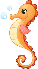 character seahorse handdrawn illustration