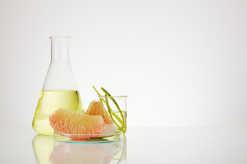 A petri dish of pink pomelo (Citrus maxima) slices and a erlenmeyer flask with pink pomelo...