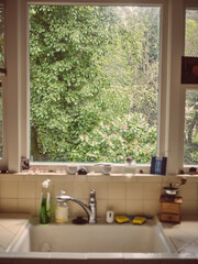 In front of a kitchen sink looking out a window at trees and nature