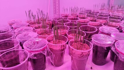 Agroecological Research Center, red lights