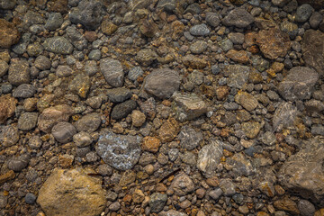 Water and rocky shapes on the beach.