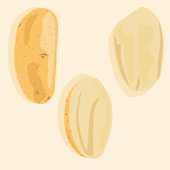 Three types of potatoes. Raw unpeeled potatoes, cut potatoes in half, raw peeled potatoes. Isolated objects. Vector icons of vegetables. Fresh food.