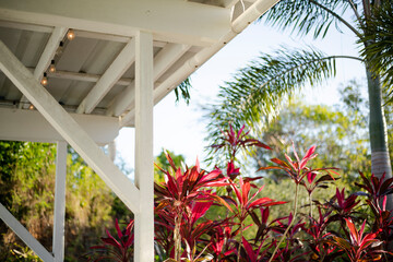 Tropical plants and palm trees by a home carport in Puerto Rico