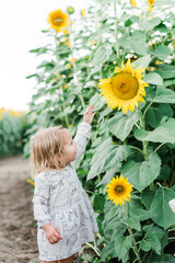 Kid enjoys sunflower field in Oregon