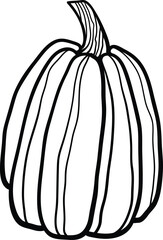 Pumpkin outline drawing. Autumn illustration. Fall clipart. Halloween. Thanksgiving. Line art