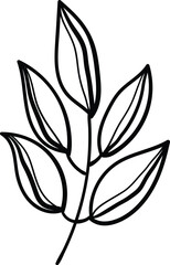 Linear wildflower drawing. Hand drawn illustration. This art is perfect for invitation cards, spring and summer decor, greeting cards, posters, scrapbooking, print, etc.