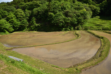 Terraced rice fields covered with water