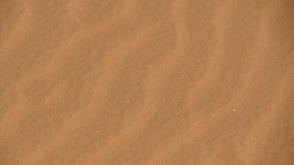 Fototapeta na wymiar Desert sand ripples nature landscape. Negev. Israel