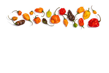 Assortment of colored peppers isolated on white background. Different varieties, trendy hard light