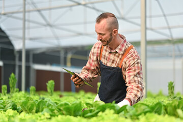 Caucasian smart farmer using tablet to check quality of hydroponic vegetable in greenhouse. Agriculture technology concept