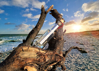 Flaschenpost auf einem alten Holzsstamm am Ostseestrand