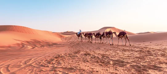 Fotobehang Camel caravan in Liwa desert, Abu Dhabi. © Nancy Pauwels