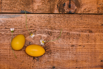 Traditional painted Easter eggs on wooden background. Colorful background of Easter eggs collection, Easter celebration